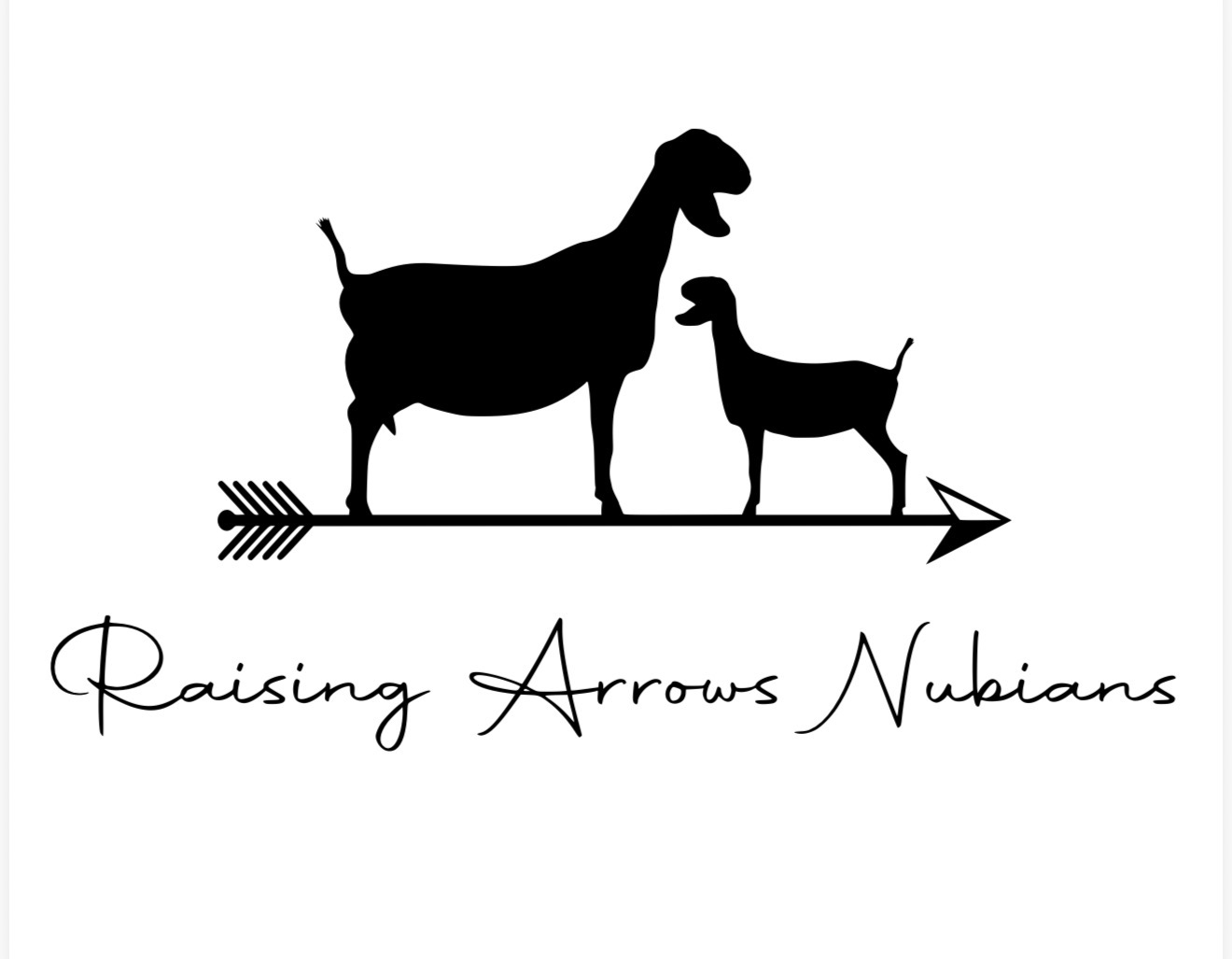 Raising Arrows Nubians